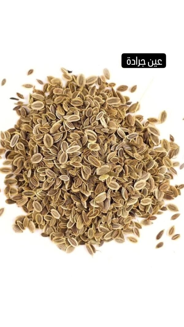 Dill Seeds ●120 grams 

(شبت) عين جرادة