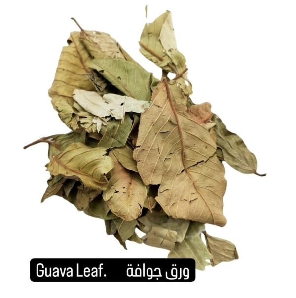 DRIED GUAVA LEAVES ●100 G 

 ورق جوافة مجفف