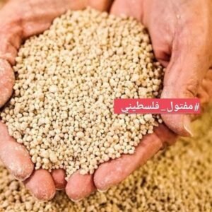 FRESH/FROZEN MAFTOUL (couscous)  مفتول مفرز جاهز للأكل