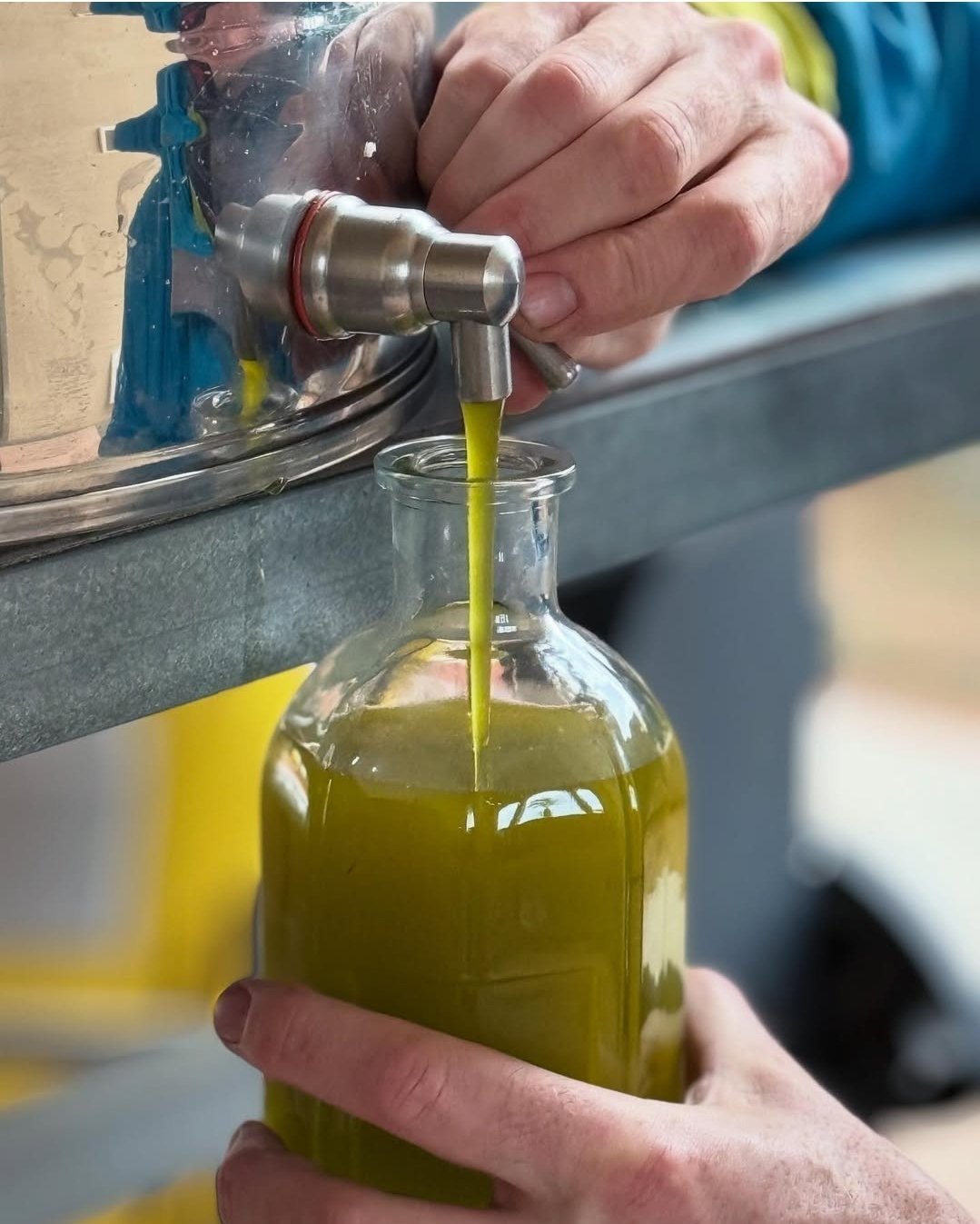Olive Oil زيت زيتون