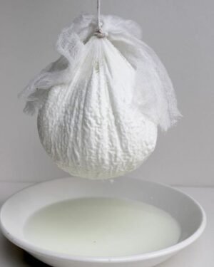 Hard Labneh ● 500 grams لبنة بلدية جرشية جامدة للزيت