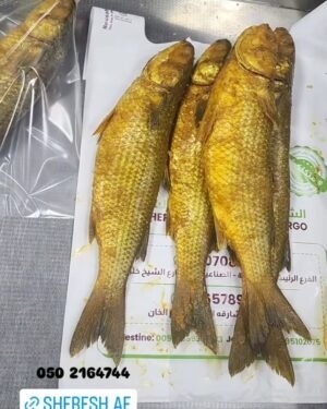 Dried Fish (Fasikh)  ●1 KG سمك فسيخ ( بوري - مملح بالكركم )