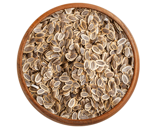 Dill Seeds (شبت) عين جرادة