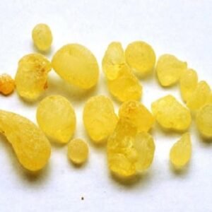 MASTIC ●  مستكة