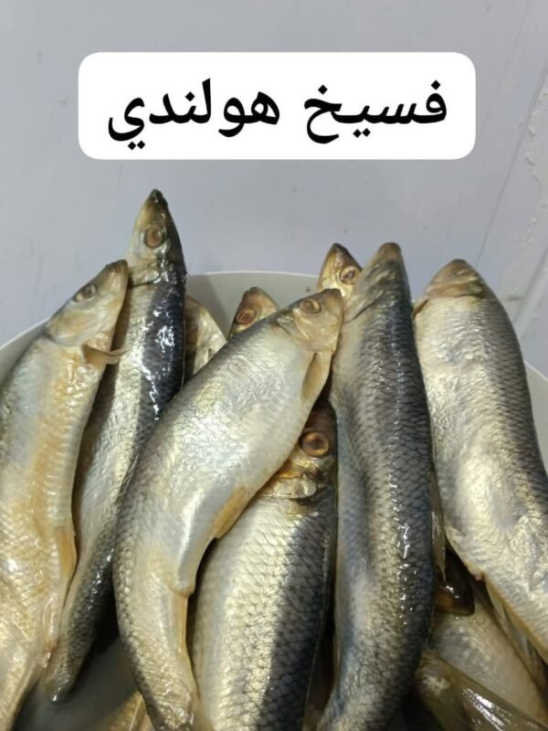 Salted Fish (Fasikh)  ● KG سمك فسيخ ( سردين - براميل -هولندي ) - Image 5