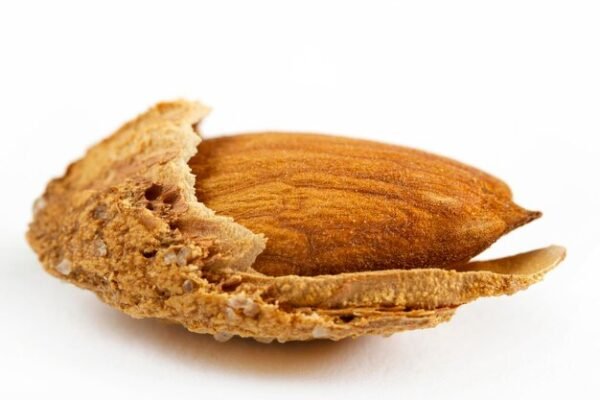 Roasted Salted Almonds with Skin   لوز محمص و مملح مع القشر - Image 3