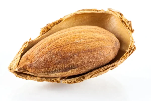 Roasted Salted Almonds with Skin   لوز محمص و مملح مع القشر - Image 2