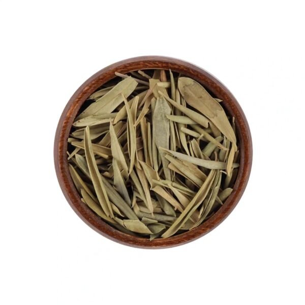 Dried Olive Leaves ● 100 grams
أوراق زيتون مجففة - Image 2