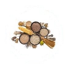 Grains حبوب و بقوليات